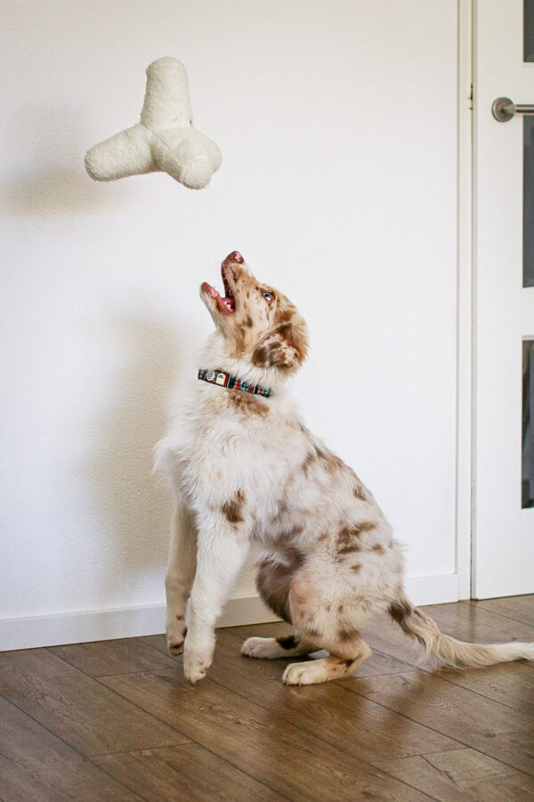 Lambwolf Collective O Breuer extra groot Snow - Afbeelding 3