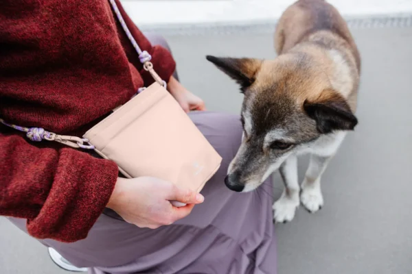 Palopa Treatbag Karl nieuwe kleuren - Afbeelding 9