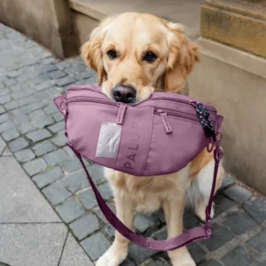 Palopa Treatbag Emma nieuwe kleur Berry en Lichtblauw