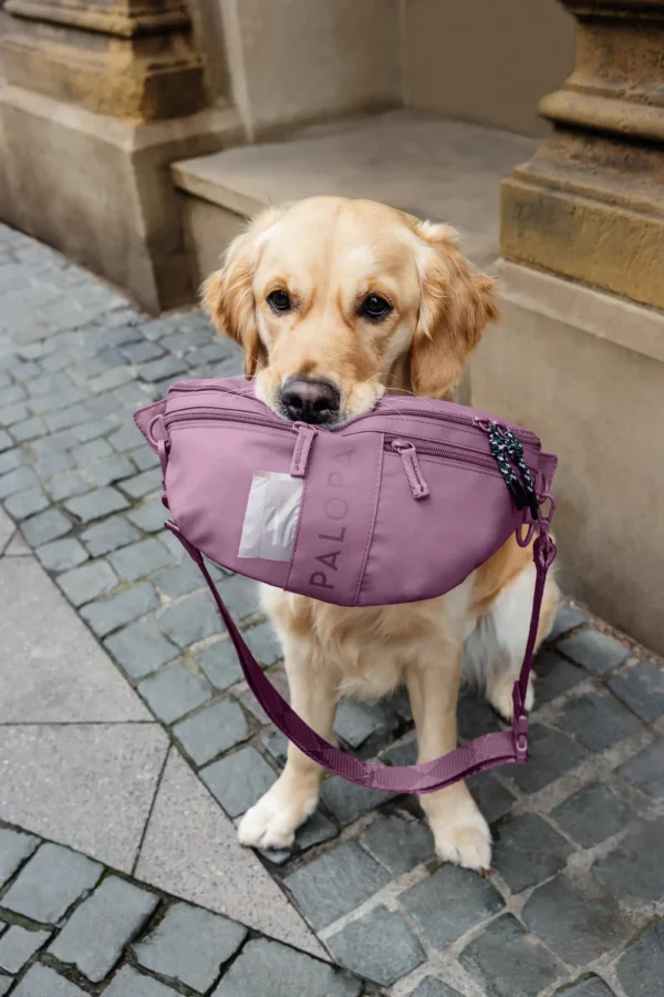 Palopa Treatbag Emma nieuwe kleur Berry en Lichtblauw