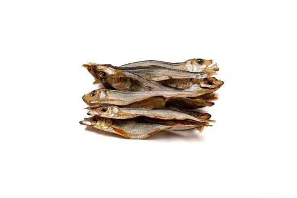 Eli Tiny Sprats - Afbeelding 3