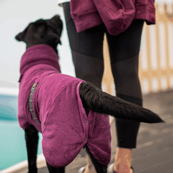 BathPomppa Plum & Midnight - Afbeelding 2