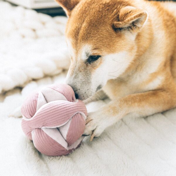 Lambwolf Collective Mini Monti Roze - Afbeelding 2