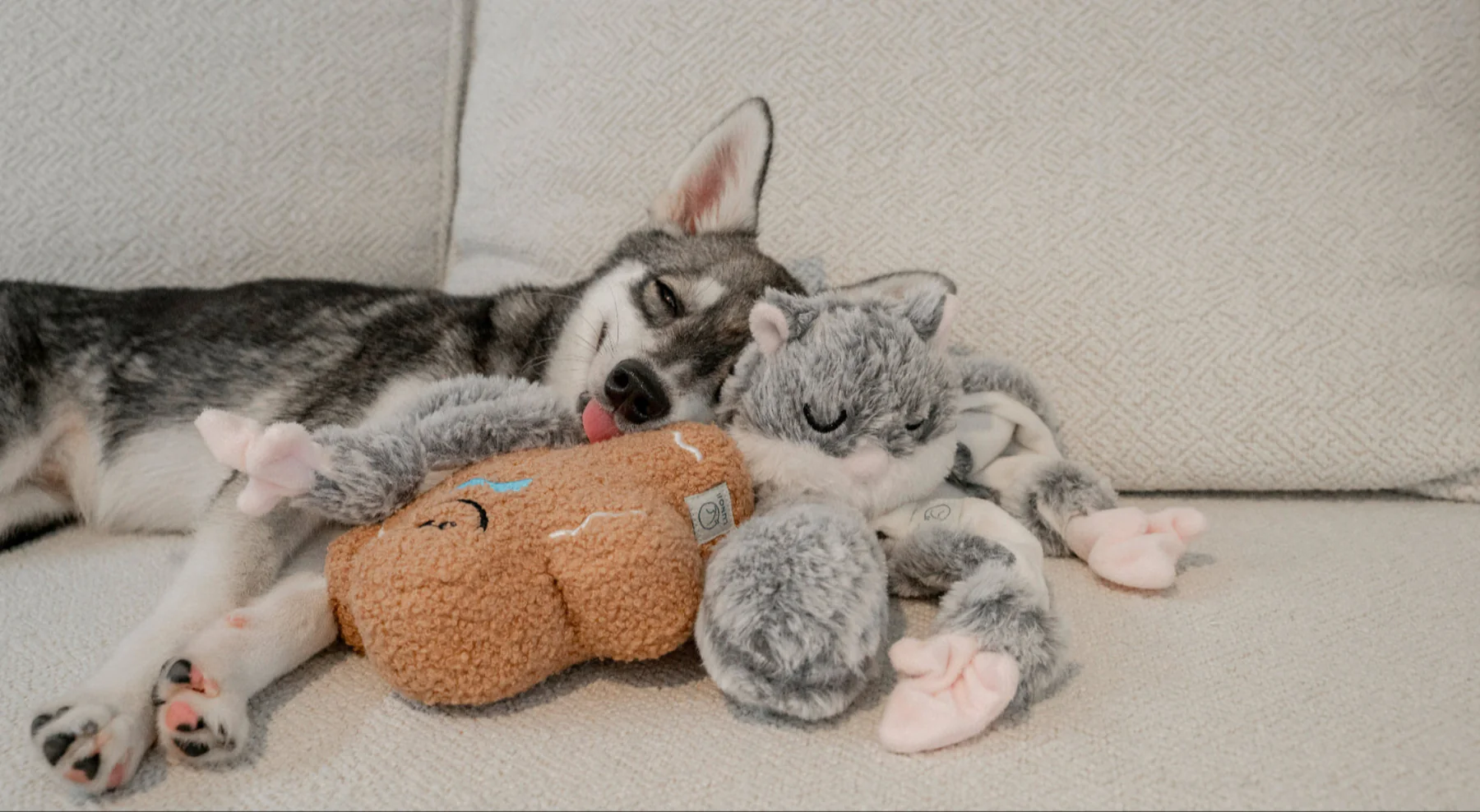 Lunoji Hugaboos™ (Launch Special: nu met een Gingerboo)