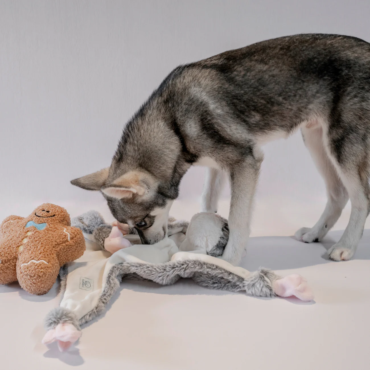 Lunoji Hugaboos™ (Launch Special: nu met een Gingerboo) - Afbeelding 6