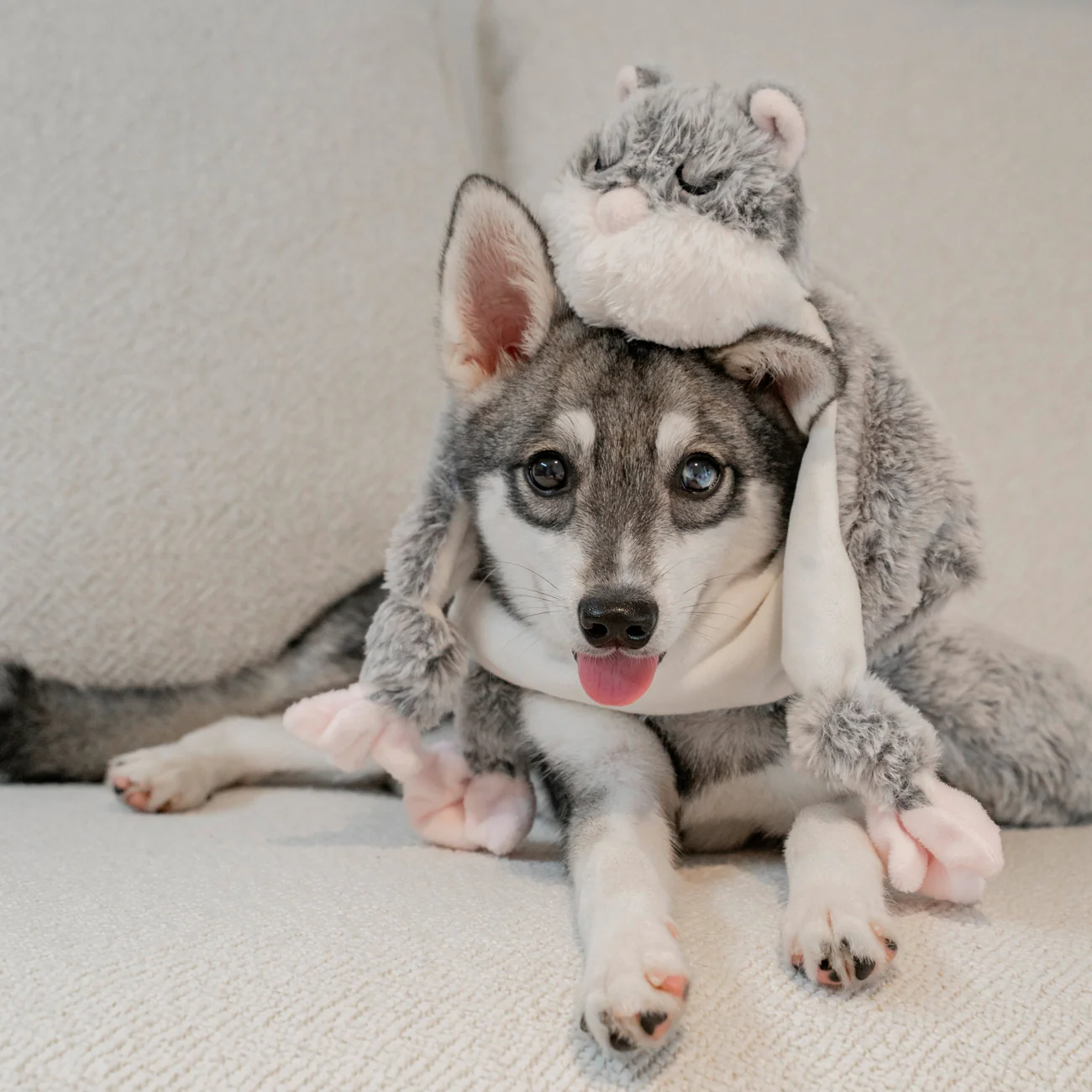 Lunoji Hugaboos™ (Launch Special: nu met een Gingerboo) - Afbeelding 4