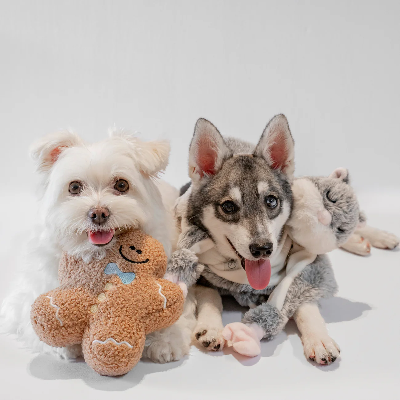 Lunoji Hugaboos™ (Launch Special: nu met een Gingerboo) - Afbeelding 5