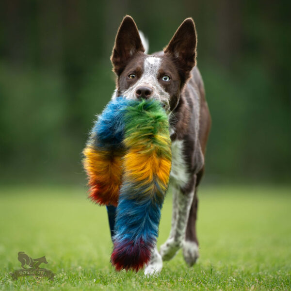 Doggie-Zen - Bungee Tug L - Bonanza - Northern Lights =Pre-Order 24/7=