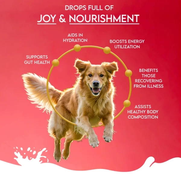 Pawfect - Kameelmelk Apple & Coconut - Afbeelding 8