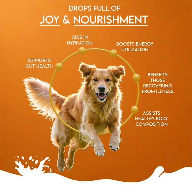 Pawfect - Nature's Sip - Geitenmelk Pumpkin & Apple - Afbeelding 6