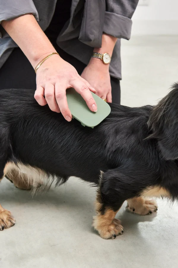 MiaCara - Pelo Dog Brush - Dusty Green - Afbeelding 2