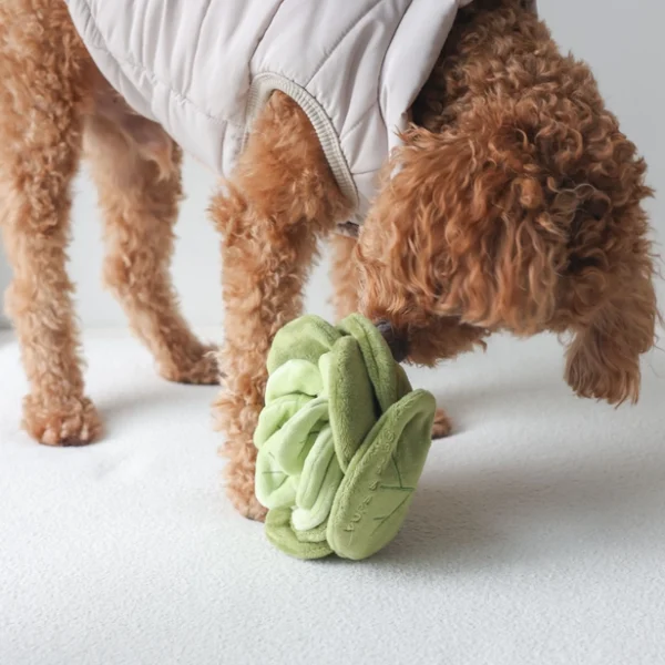 Pups & Bubs - Snuffle Cabbage - Afbeelding 5