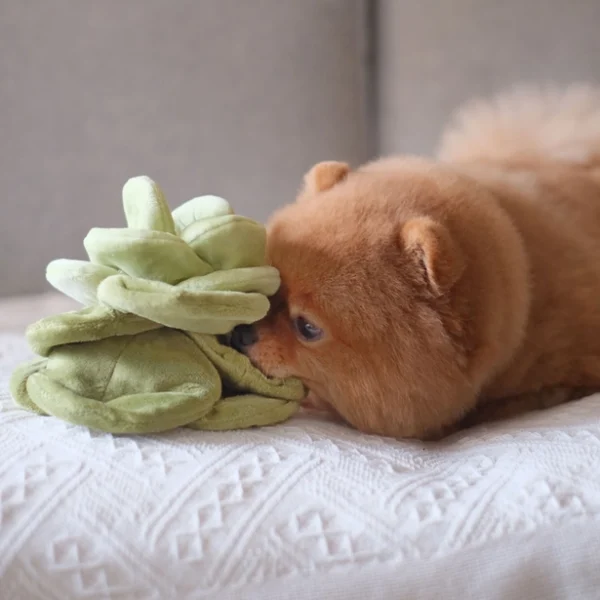 Pups & Bubs - Snuffle Cabbage - Afbeelding 4