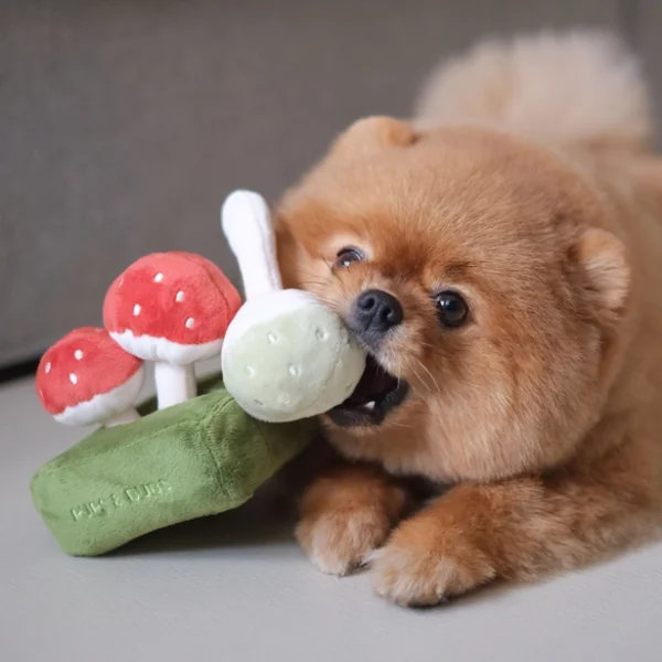 Pups & Bubs - Forest Mushroom - Afbeelding 4