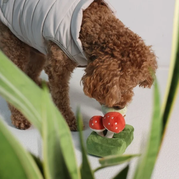 Pups & Bubs - Forest Mushroom - Afbeelding 2