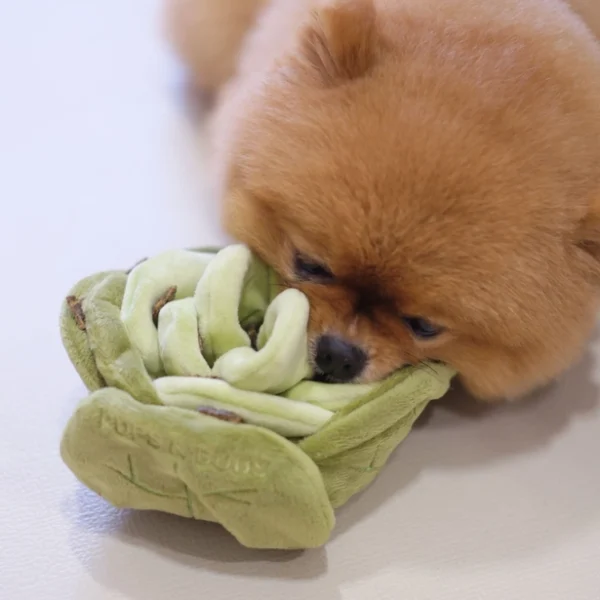 Pups & Bubs - Snuffle Cabbage