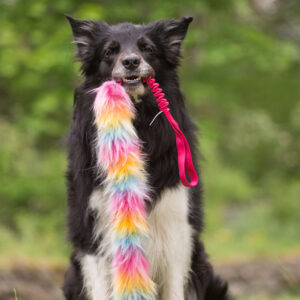 Doggie-Zen - Bungee Tug L Bonanza - Candy =Pre-Order 24/7=