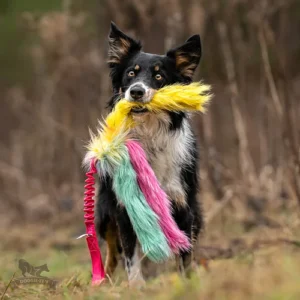 Doggie-Zen – Bungee Octopus Tug - Candy =Pre-Order 24/7=