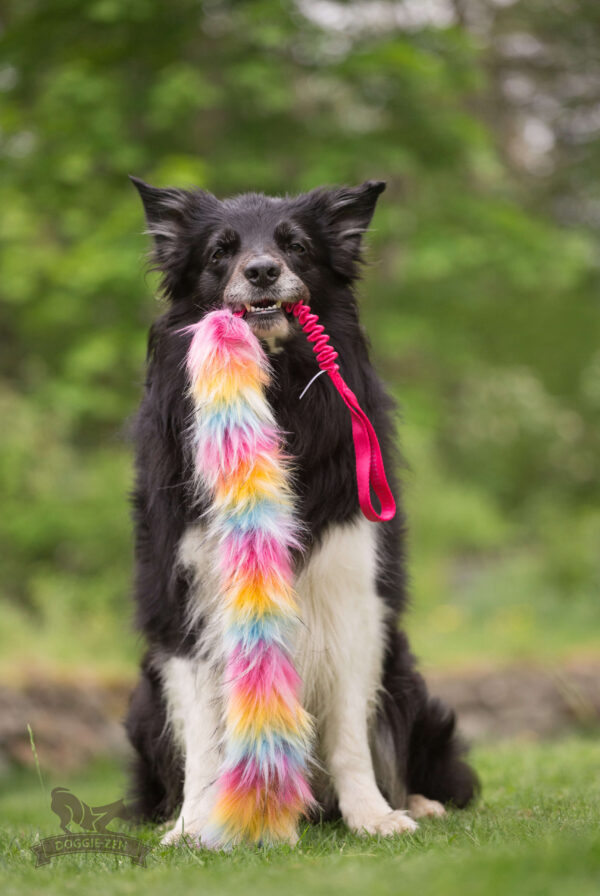Doggie-Zen - Bungee Tug L Bonanza - Candy =Pre-Order 24/7=