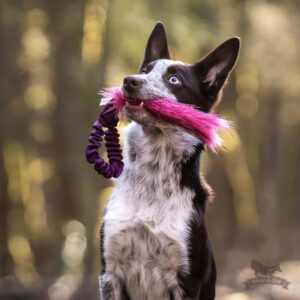 Doggie-Zen - Bungee Pocket Fake Fur Tug