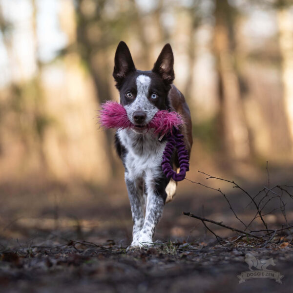 Doggie-Zen - Bungee Pocket Fake Fur Tug - Afbeelding 5