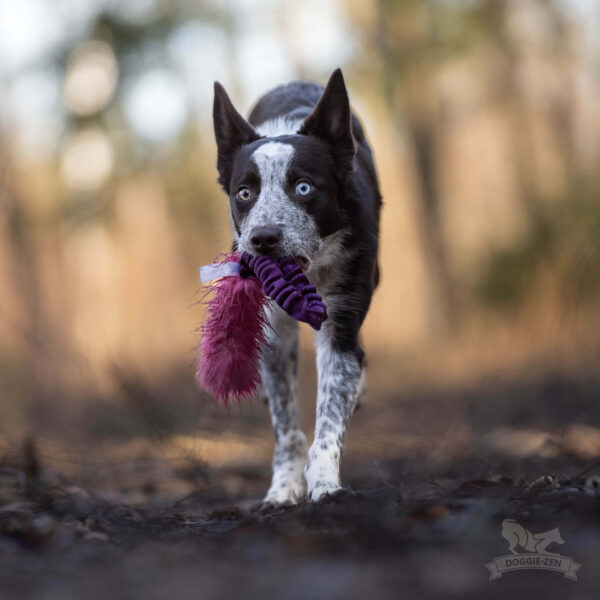 Doggie-Zen - Bungee Pocket Fake Fur Tug - Afbeelding 4