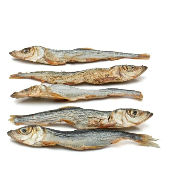 Eli - Baltic Herring - Afbeelding 4