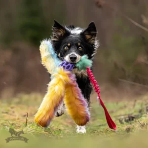 Doggie-Zen - Bungee Hol-ee Octopus Tug L - Candy