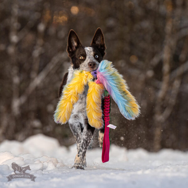 Doggie-Zen - Bungee Hol-ee Octopus Tug L - Candy - Afbeelding 6