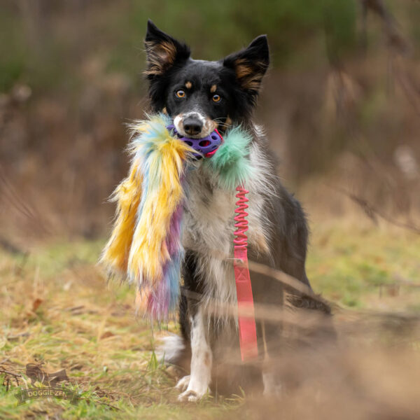 Doggie-Zen - Bungee Hol-ee Octopus Tug L - Candy - Afbeelding 5