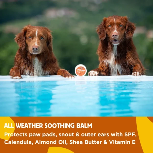 Hemp by Hownd - Skin, Nose & Paw Balm - Afbeelding 5