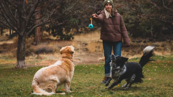Ruffwear - Huck-a-Cone - Afbeelding 7