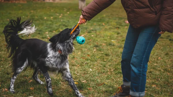 Ruffwear - Huck-a-Cone - Afbeelding 6