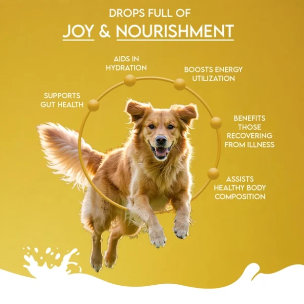 Pawfect - Kameelmelk - Naturel - Afbeelding 6