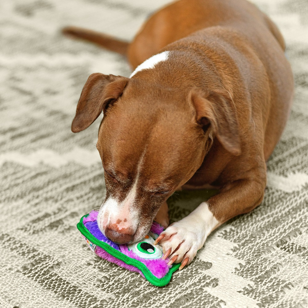 Outward Hound - Durablez - Uil - Afbeelding 4