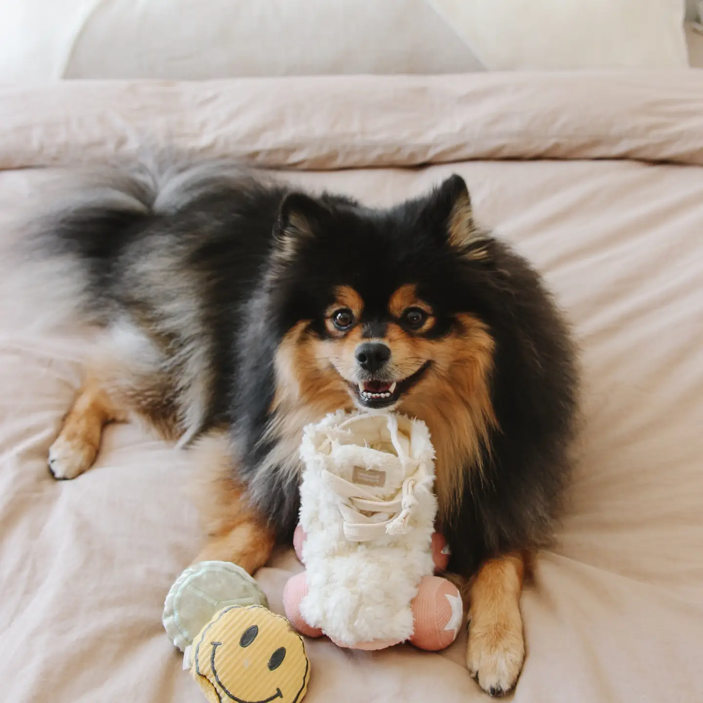 Lambwolf Collective Rollerskate - Afbeelding 2