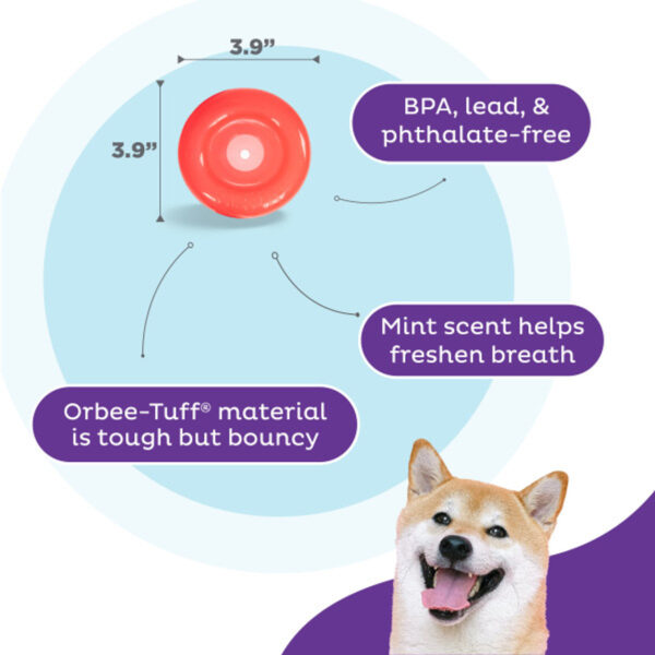 Planet Dog Lil' Snoop - Afbeelding 7
