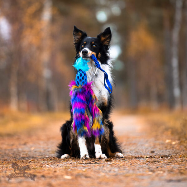 Doggie-Zen - Bungee Hol-ee Octopus Tug L - Dark Rainbow =Pre-Order 24/7= - Afbeelding 4