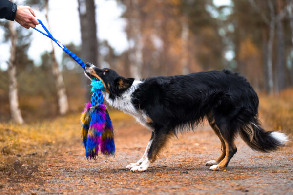 Doggie-Zen - Bungee Hol-ee Octopus Tug L - Dark Rainbow =Pre-Order 24/7= - Afbeelding 3