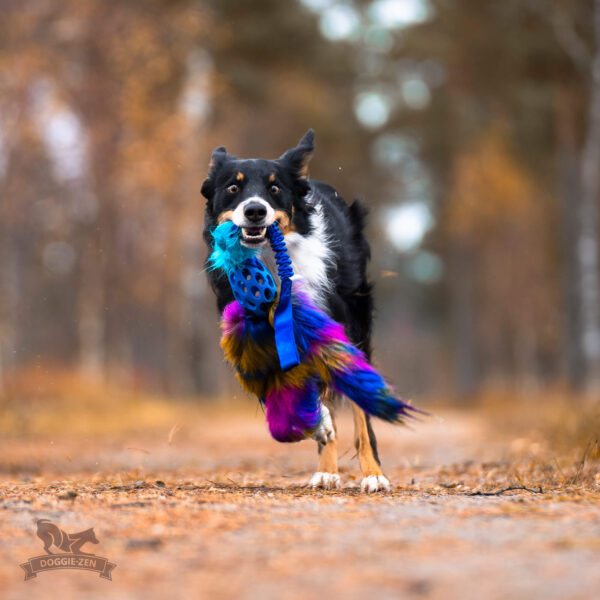 Doggie-Zen - Bungee Hol-ee Octopus Tug L - Dark Rainbow =Pre-Order 24/7= - Afbeelding 2