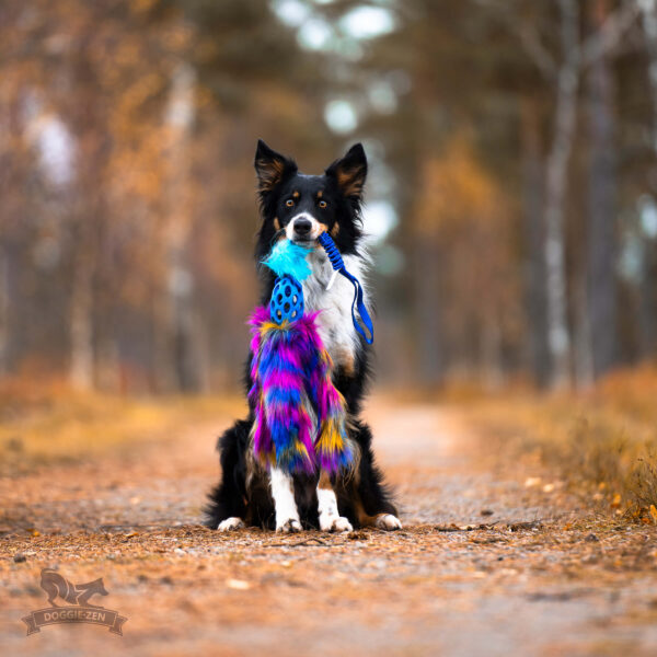 Doggie-Zen - Bungee Hol-ee Octopus Tug L - Dark Rainbow =Pre-Order 24/7=
