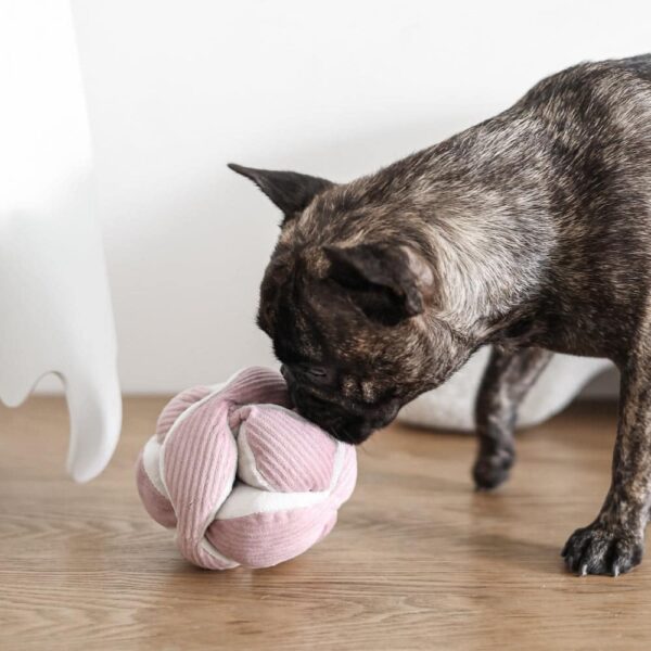 Lambwolf Collective Mini Monti Roze - Afbeelding 3